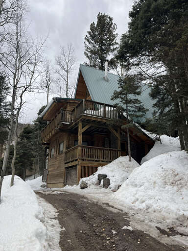 The house in winter