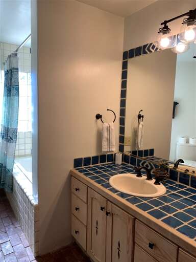 Downstairs full bathroom single vanity
