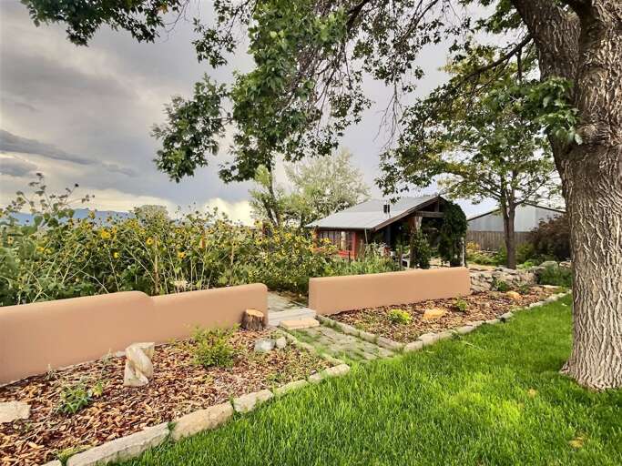 Back yard garden