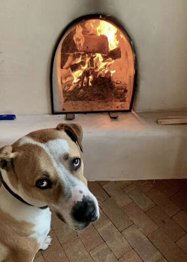 Kiva Wood Fireplace for all the Ambiance