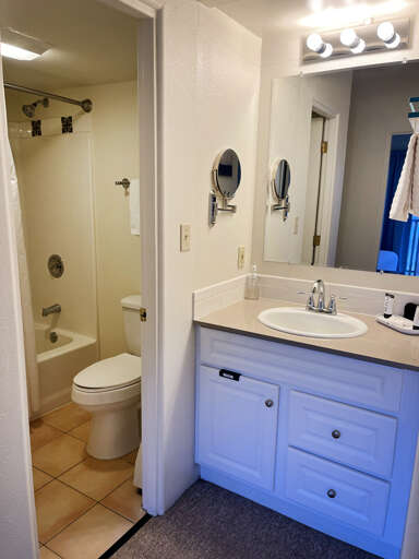 Hall Bathroom and Vanity