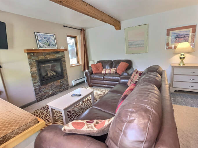 A fireplace and the main couch turns into a pullout bed