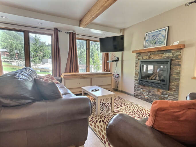 Living area with TV and comfortable sofa