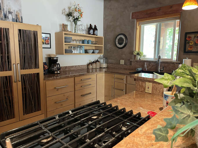 Kitchen range