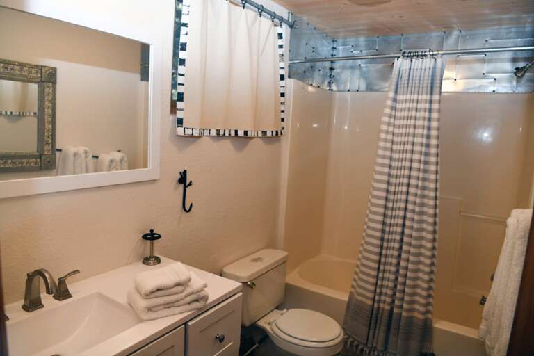 Downstairs bath