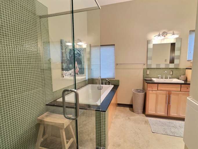 Master shower and bathtub