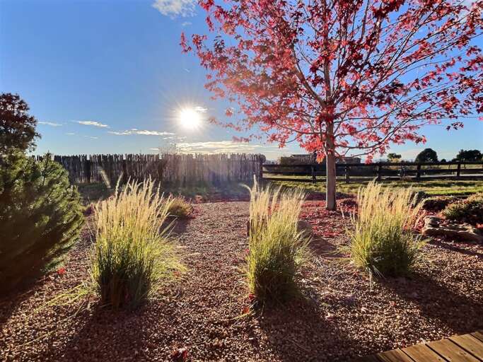 Yard at sunset