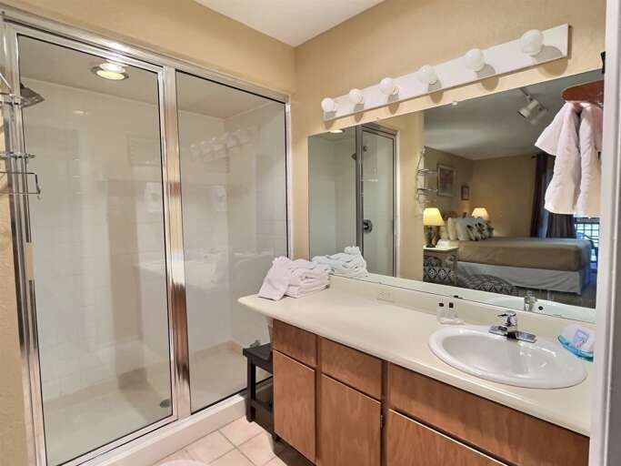 Queen bathroom vanity and shower