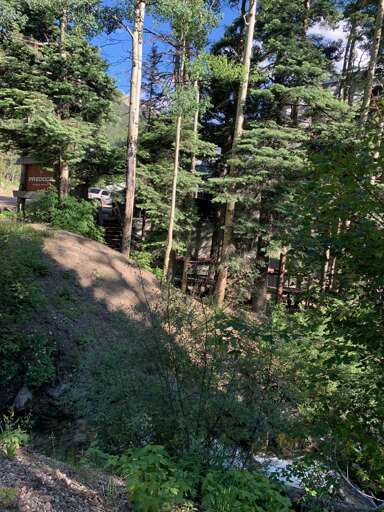 Mountain forest view