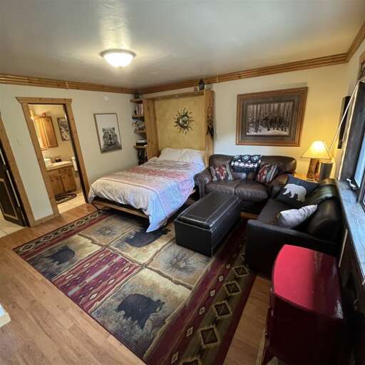 Queen Murphy Bed Open in Living Area