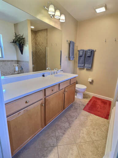 Master bath vanity