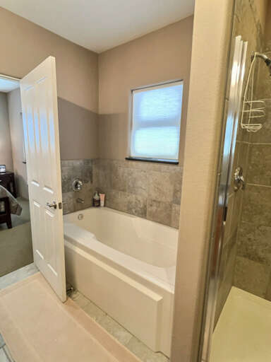 Master tub and shower