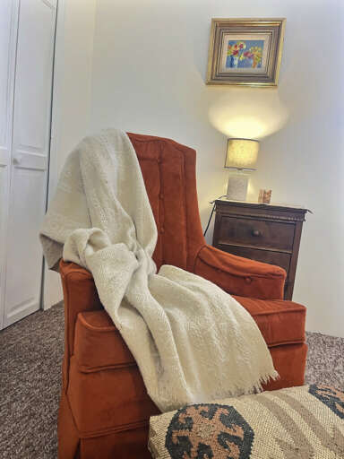 Cozy bedroom chair