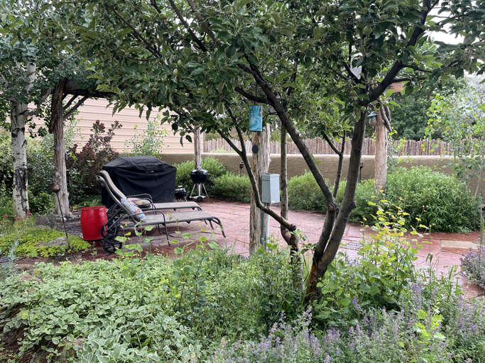 Lounge chairs and barbecues