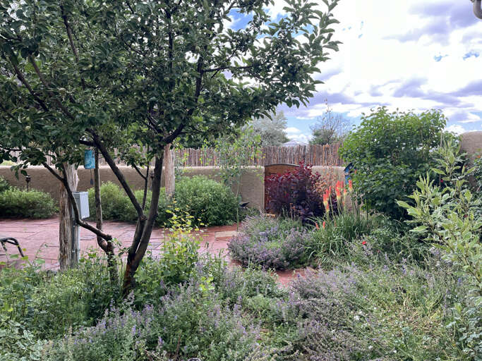Summer gardens