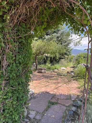 Summer patio gardens