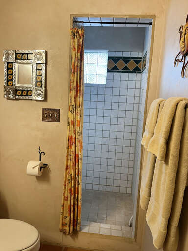 Guest bathroom