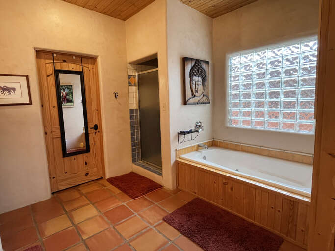 Primary bedroom ensuite bathroom jacuzzi tub and separate shower