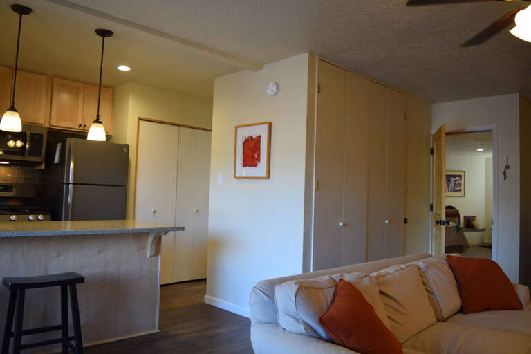 Looking toward the hallway and two storage closets