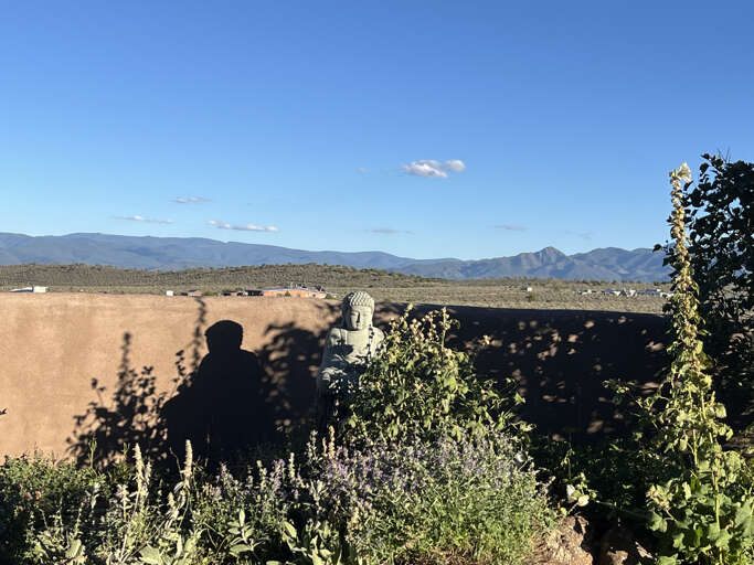Garden buddha and massive views of the mountains