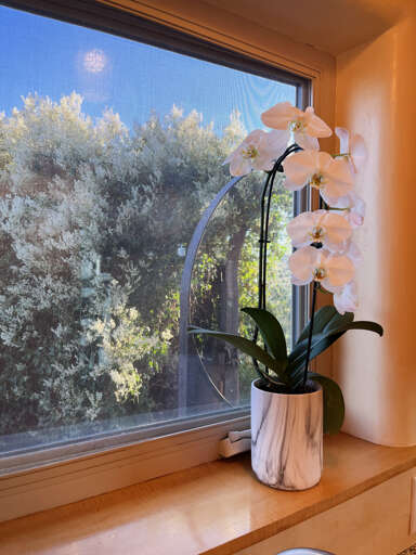 Always welcome a joyful, unexpected moment