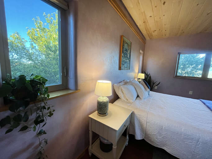 Queen bedroom with plants and versatile lighting options