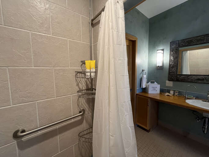 Primary bathroom walk in shower
