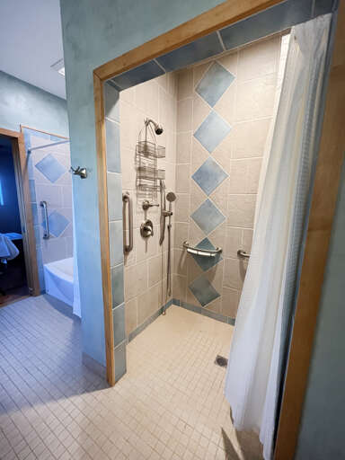Accessible walk in shower with bars and dual shower heads