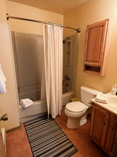 Downstairs hall bathroom