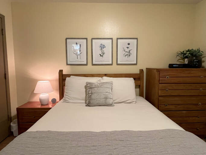 Downstairs queen bedroom