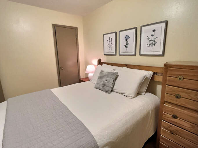 Downstairs queen bedroom