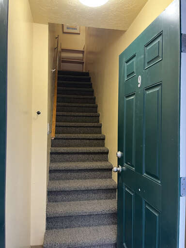 Entry stairs and landing