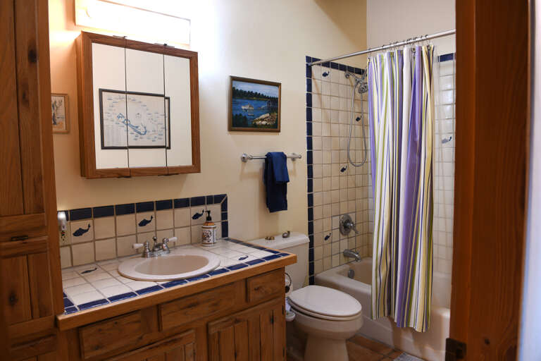 Hall Bathroom