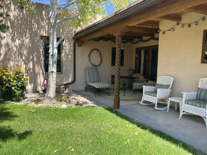 Green lawn and Aspen tree in summer