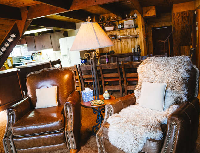 Leather chairs
