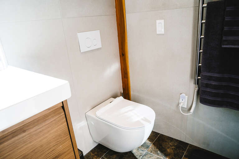 Living level modern toilet