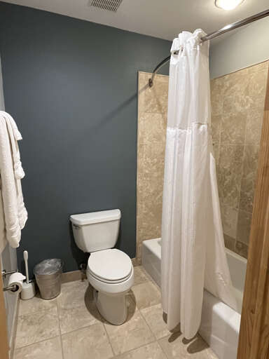 King suite bathroom