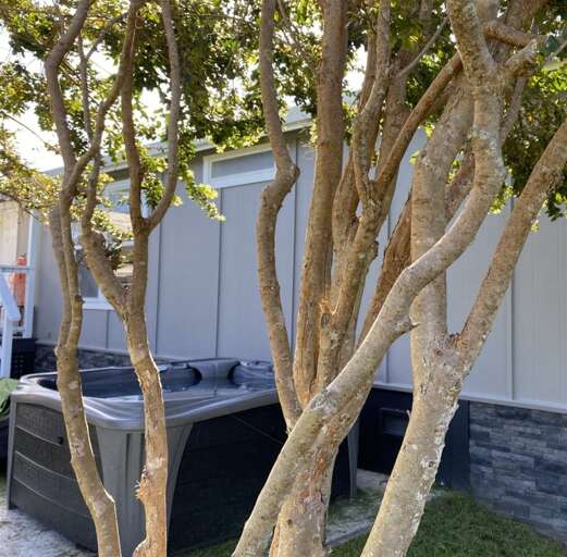 Find Rentals Find Rentals