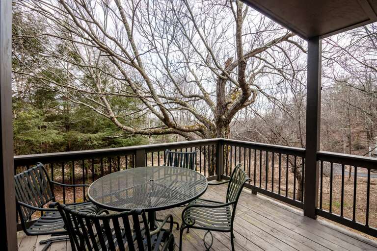 Outdoor Dining Table on Covered Porch with Seasonal Wooded Views of Private Back Yard