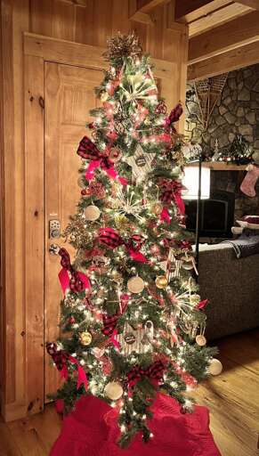 Christmas Tree Christmas Tree