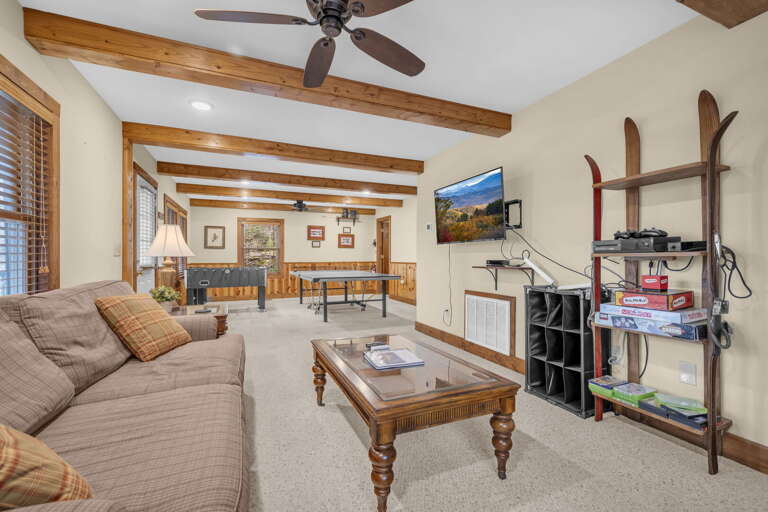 Lower Level Living Room