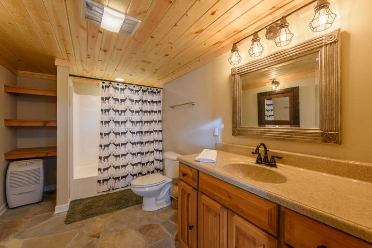 Full Bathroom downstairs