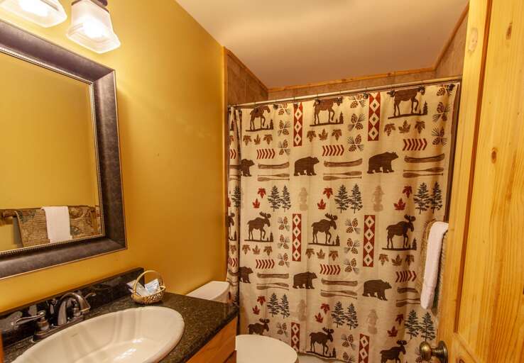 Main Level Bathroom with Tub and Shower Combo
