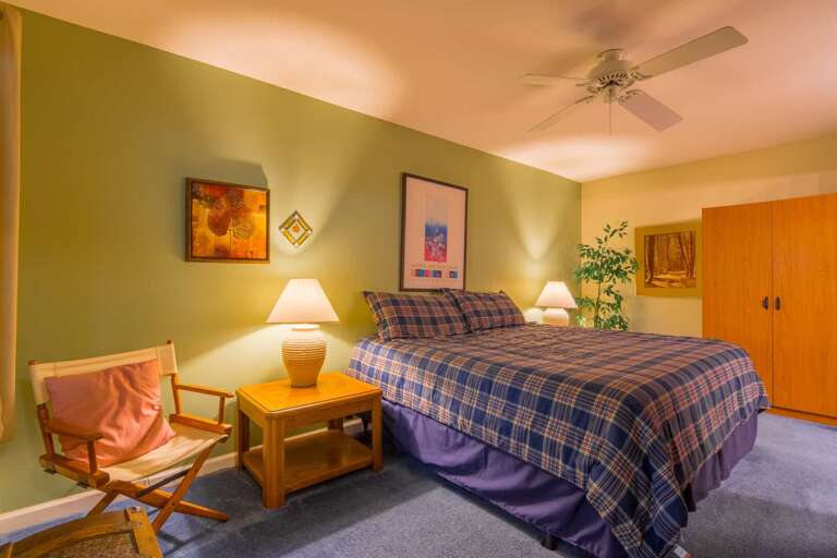 Benzine Farm Downstairs King Bedroom