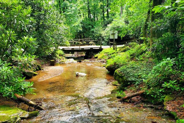 Bridge and Creek at the Entrance to Timber Creek