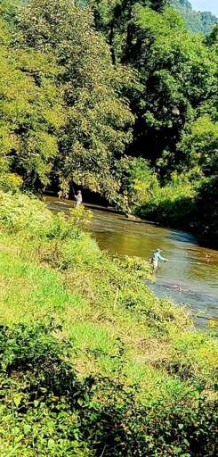 Fly Fishing in Season