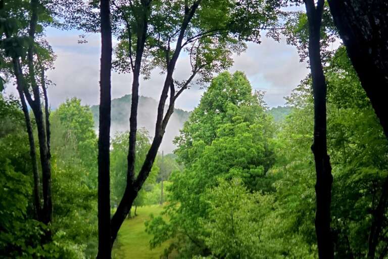 Mountain Views from the Cabin