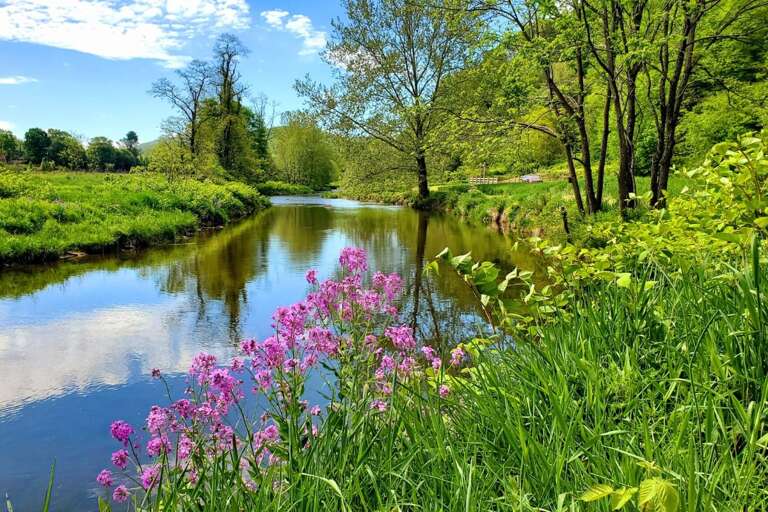 View of Watauga River, Private and Only for Timber Creek Cabin Guests