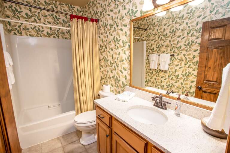 Bathroom for Downstairs Level