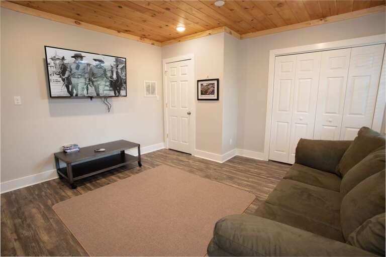 Pullout Couch and TV in Basement Pullout Couch and TV in Basement